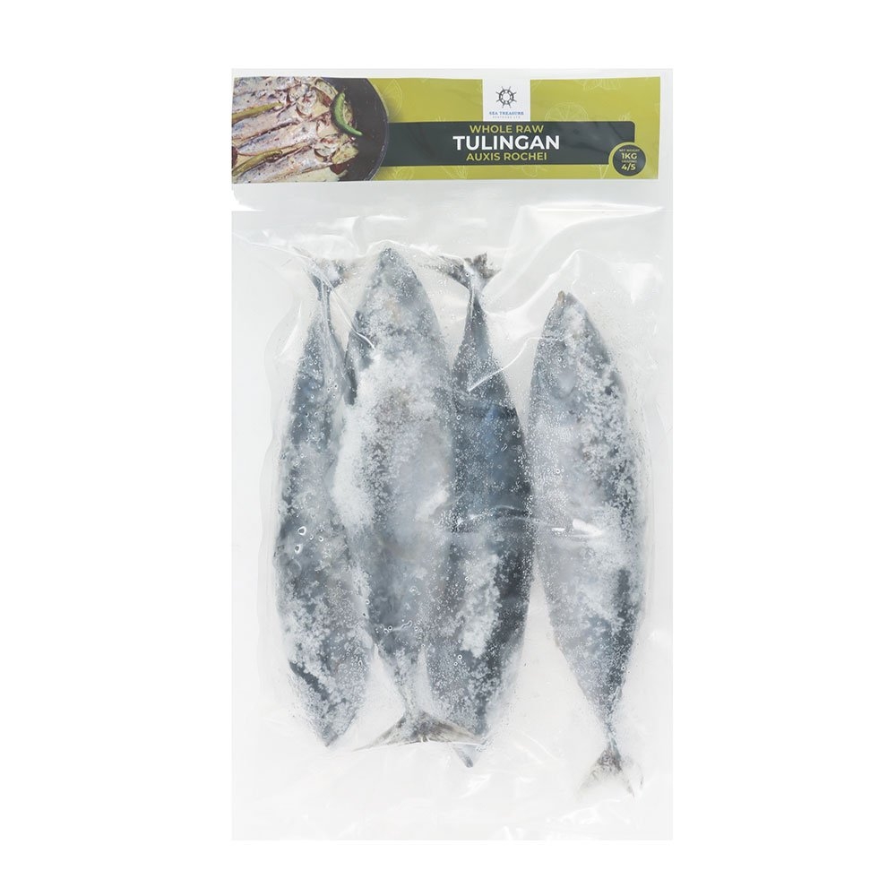 frozen sea fishing bait
