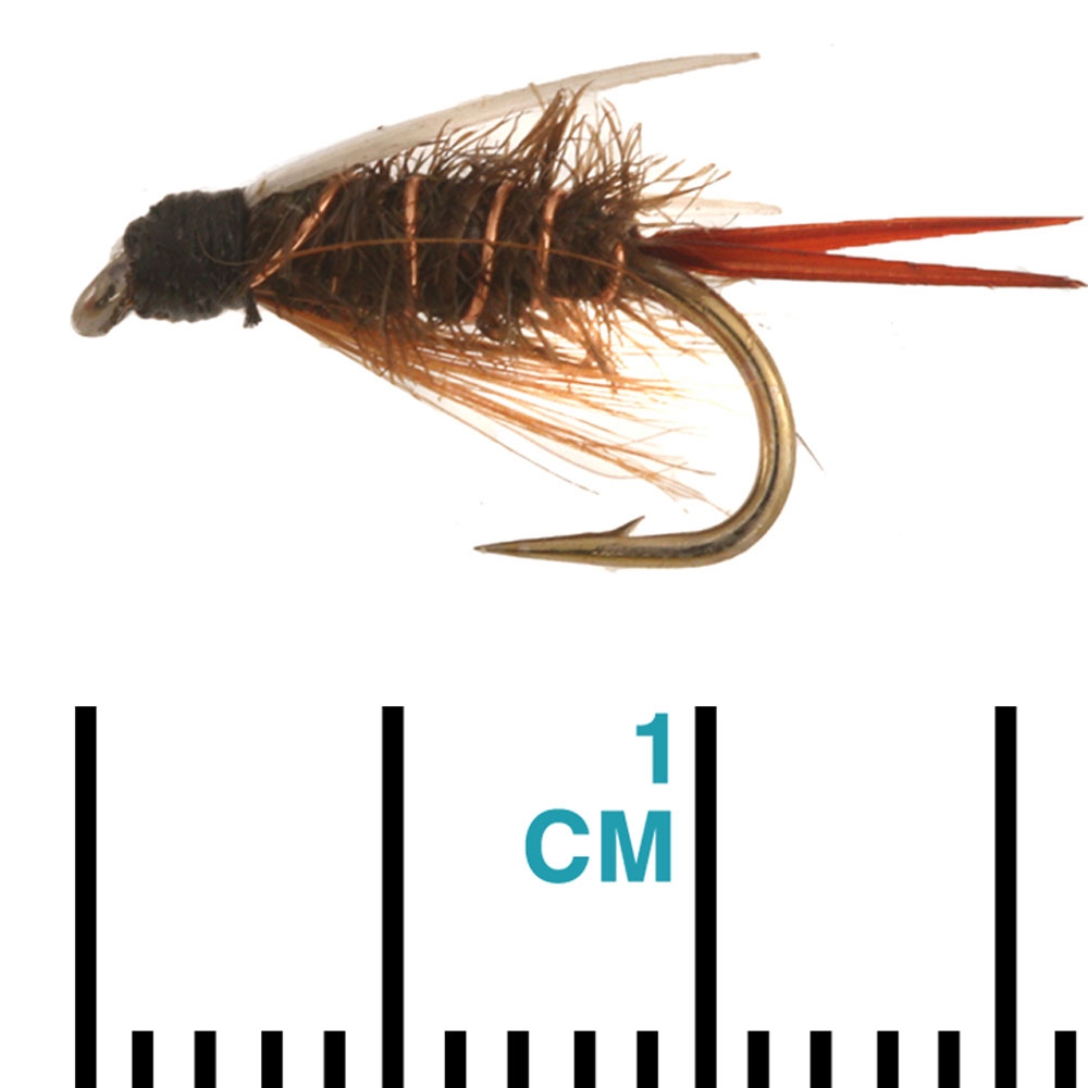 Black Magic Prince Nymph Trout Fly A14 1.5cm