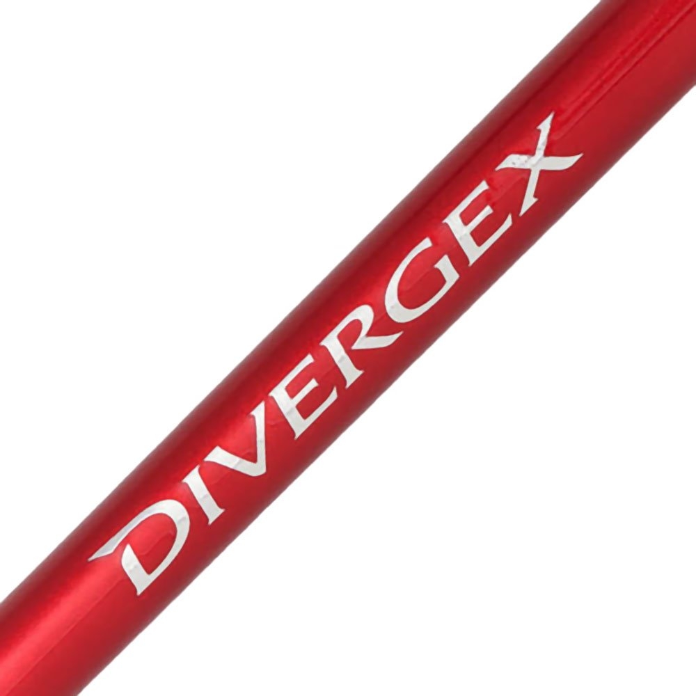 Shimano Divergex Heavy Soft Bait Spin Rod 8ft 5-10kg 2pc