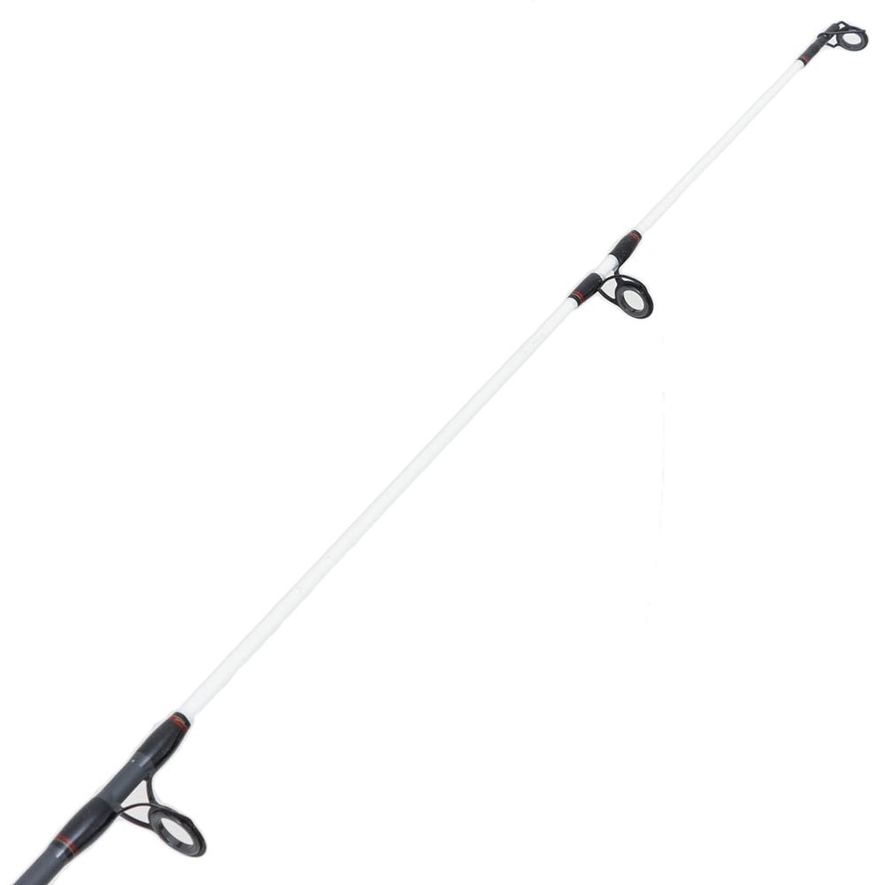 Shimano Hyperloop 6000 FB Spectrum Plus Surf Combo with Line 10ft 6-8kg 2pc