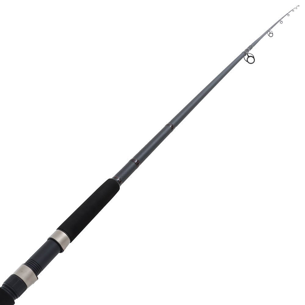 Shimano Nexave 8000FE Spectrum Plus Surf Combo 12ft 10-15kg 2pc