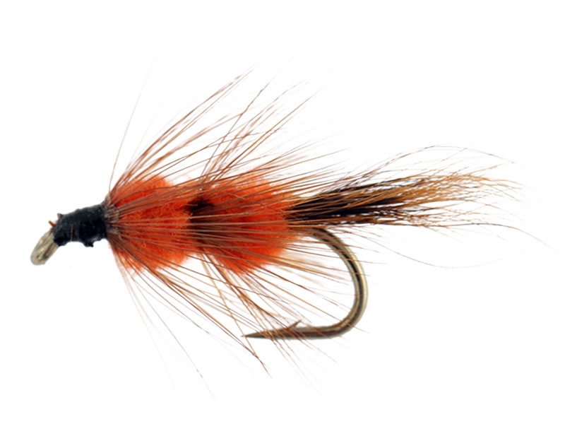 Black Magic Red Setter Trout Fly Light Tail A08 3cm