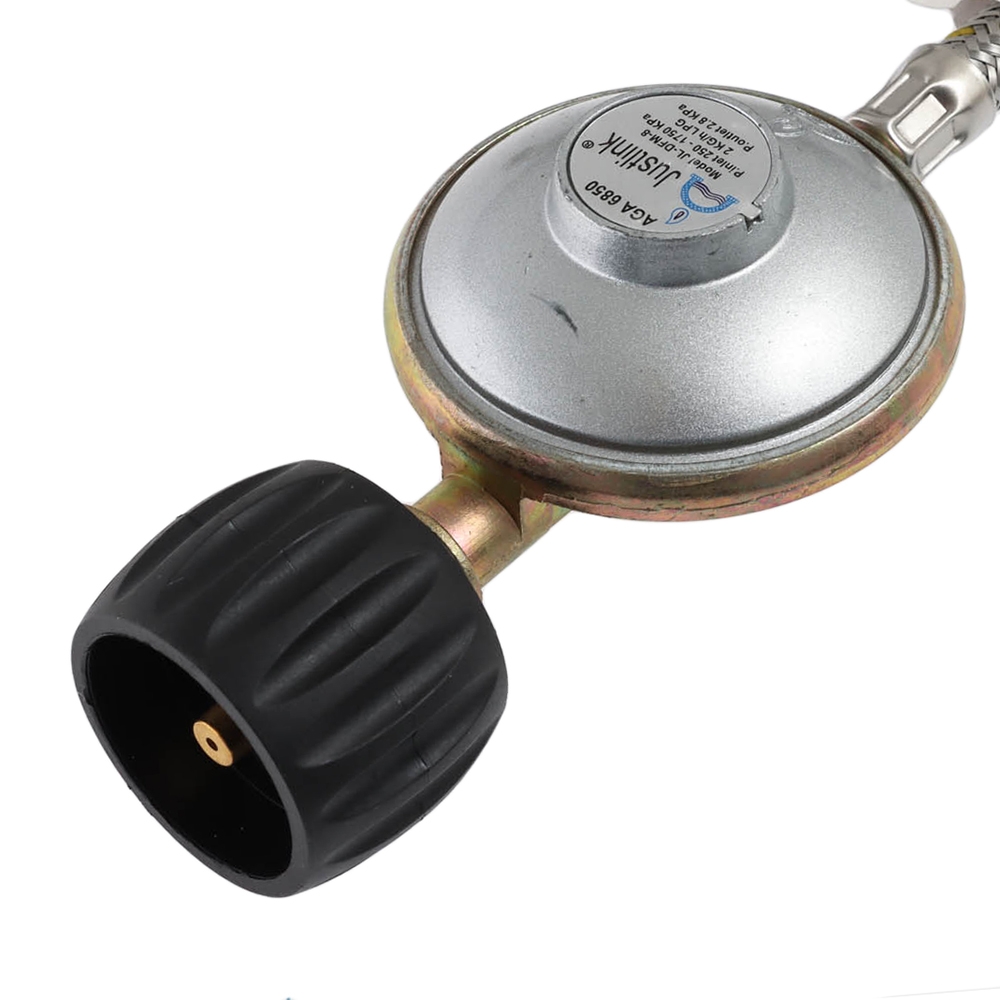 Companion Braided Gas Hose 3000mm LCC27 Reg 3/8 SAE