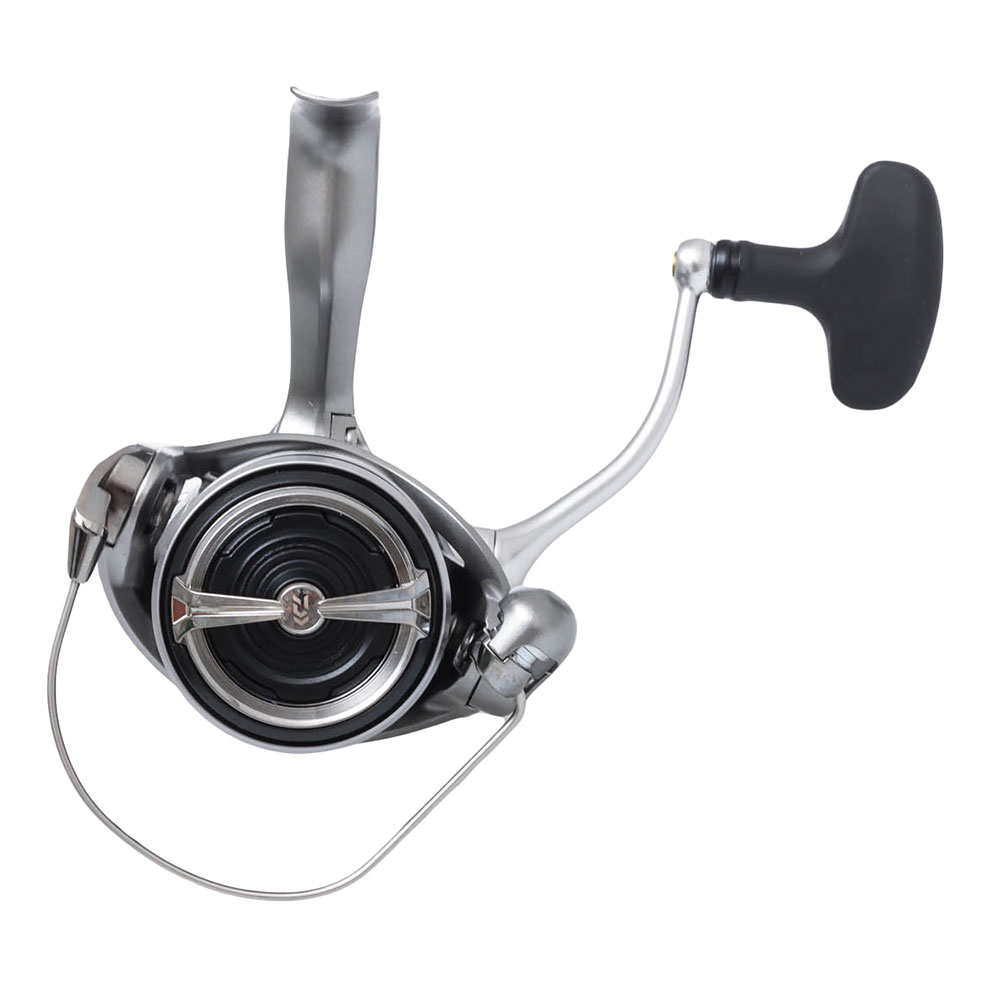 Daiwa Exceler LT 2500 Ballistic 802LFS Spinning Combo with Braid 8ft 2pc 