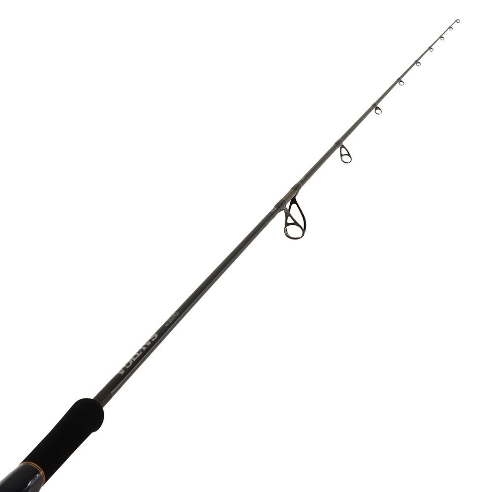 Daiwa 25 Saltiga LC S75-1/2.5-AGS Spinning Rod 7ft 5in PE1-2.5 2pc