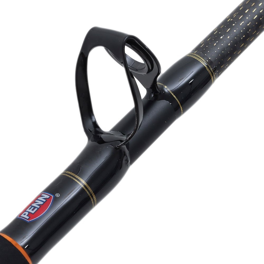 PENN Fathom 50 Ally Wireless Electric Game Combo 5ft 7in 24kg 1pc