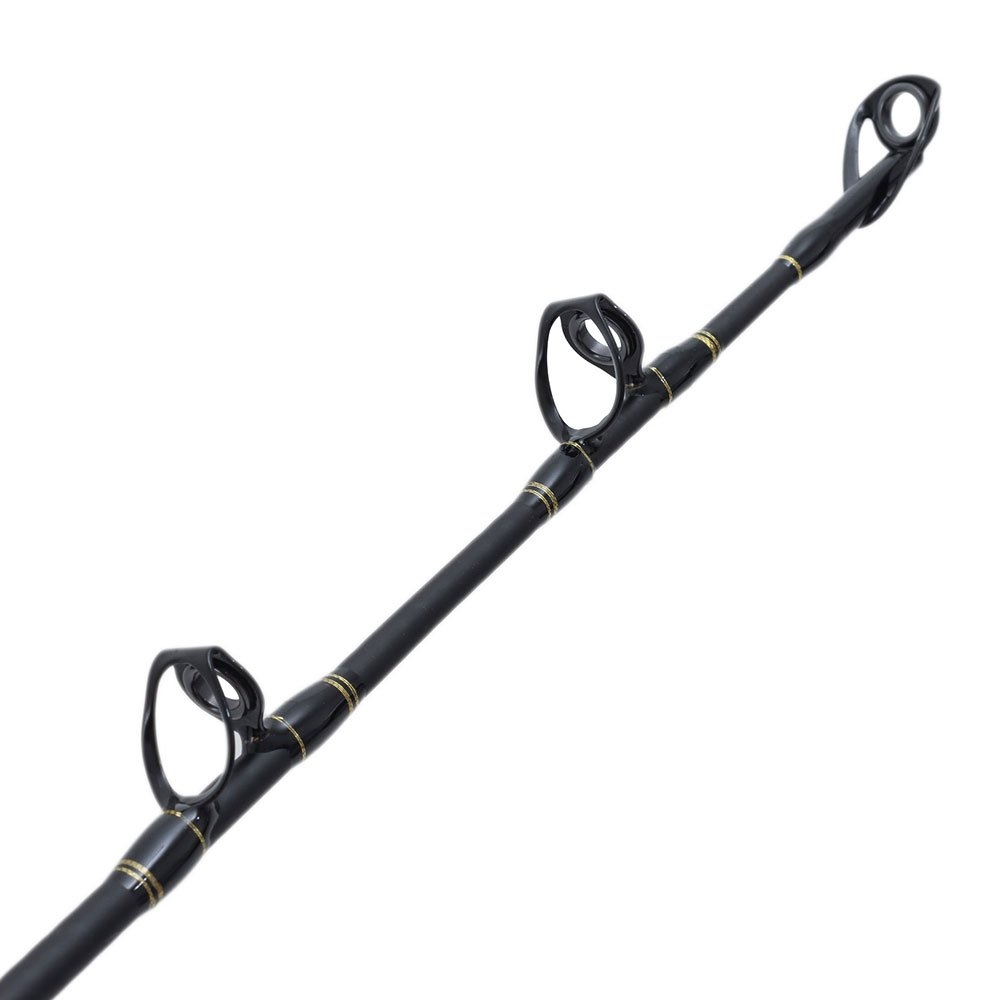 PENN Fathom 50 Ally Wireless Electric Game Combo 5ft 7in 24kg 1pc