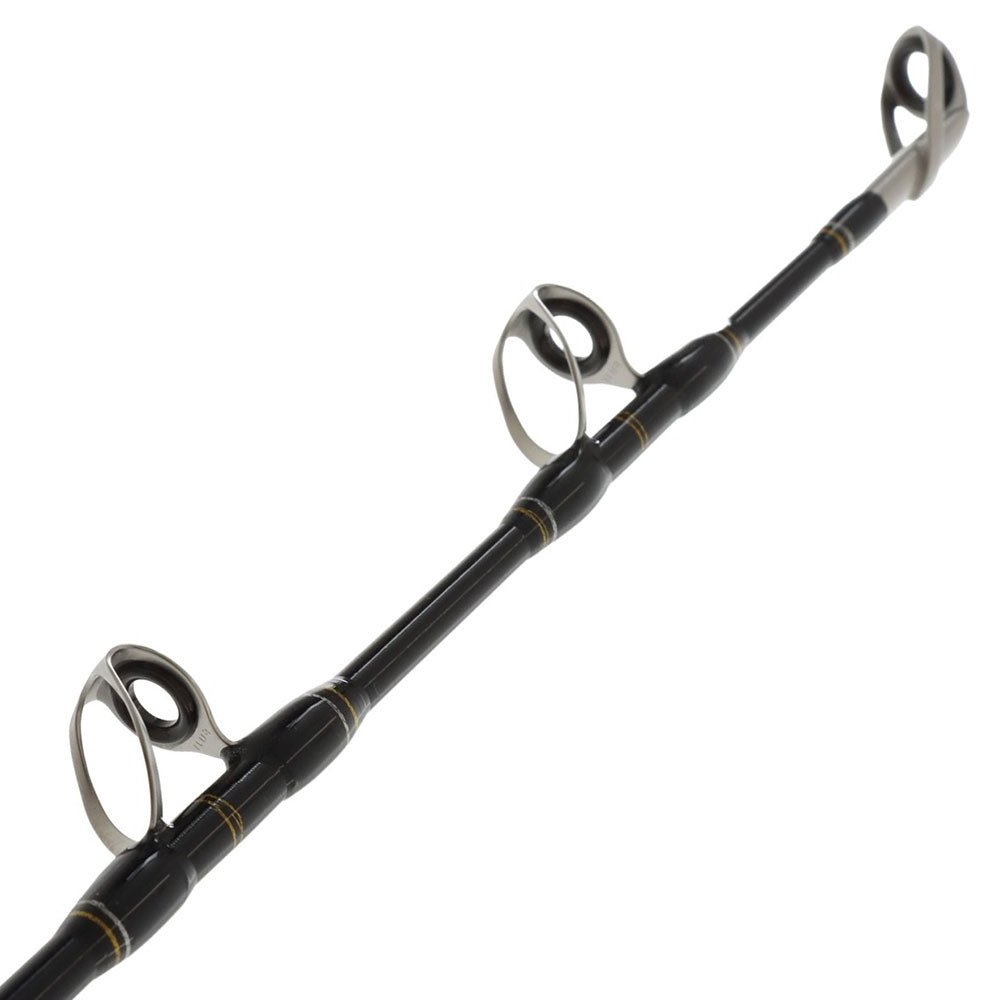 PENN Fathom II 80 Ocean Assassin II Game Combo 5ft 5in 24kg 1pc