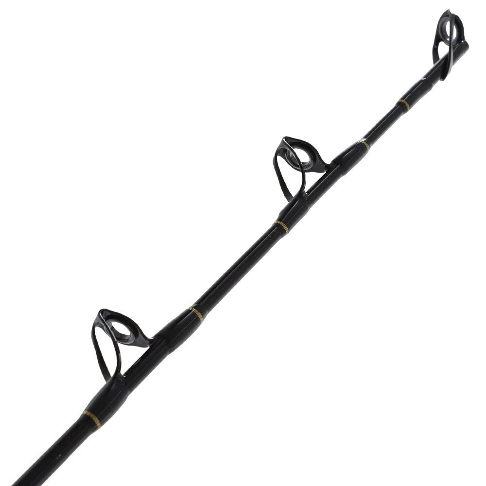 PENN Squall II 40 LD Spinfisher SSM Medium Heavy OH Boat Combo 6ft 10-15kg 1pc