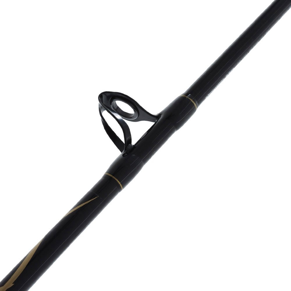 PENN Squall II 40 LD Spinfisher SSM Medium Heavy OH Boat Combo 6ft 10-15kg 1pc