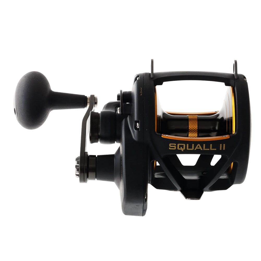PENN Squall II 60 LD Carnage Tuna Trolling Combo with Braid Leader and Lure 5ft 7in 24kg 1pc PENN Squall II 60 LD Carnage Tuna Trolling Combo with Braid Leader and Lure 5ft 7in 24kg 1pc