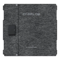 EcoFlow Portable Solar Panel Type-C 60W  Thumbnail EcoFlow Portable Solar Panel Type-C 60W