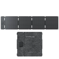 EcoFlow Portable Solar Panel Type-C 60W  Thumbnail EcoFlow Portable Solar Panel Type-C 60W