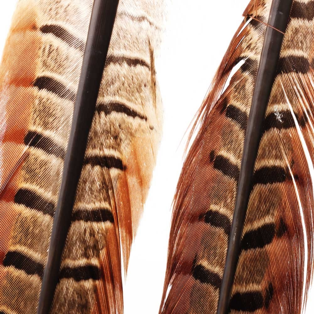 Feather Merchants Pheasant Tails Pair Natural
