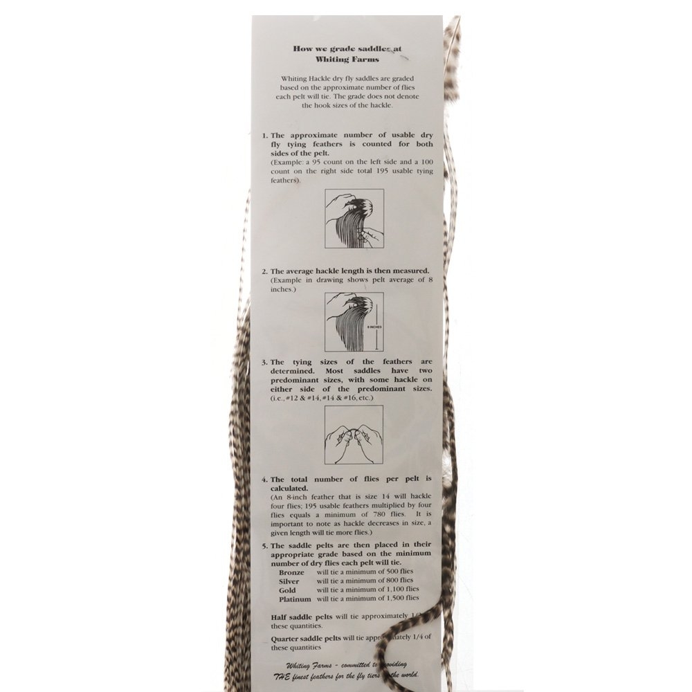 Whiting Bronze 1/2 Saddle Grizzly