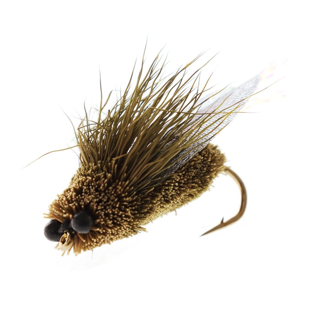 Feather Merchants Cicada Dry Fly #06