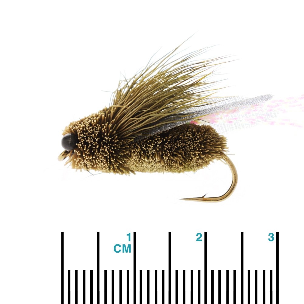 Feather Merchants Cicada Dry Fly #06