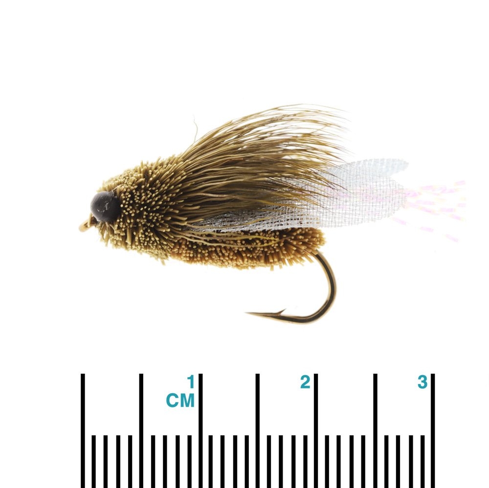 Feather Merchants Cicada Dry Fly #08
