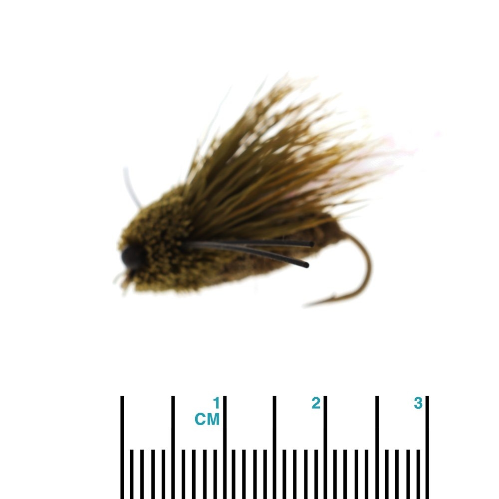 Feather Merchants Cicada Dry Fly Rubberlegs #06