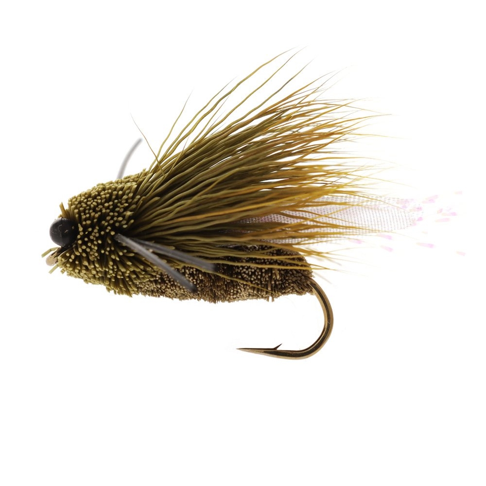 Feather Merchants Cicada Dry Fly Rubberlegs #06