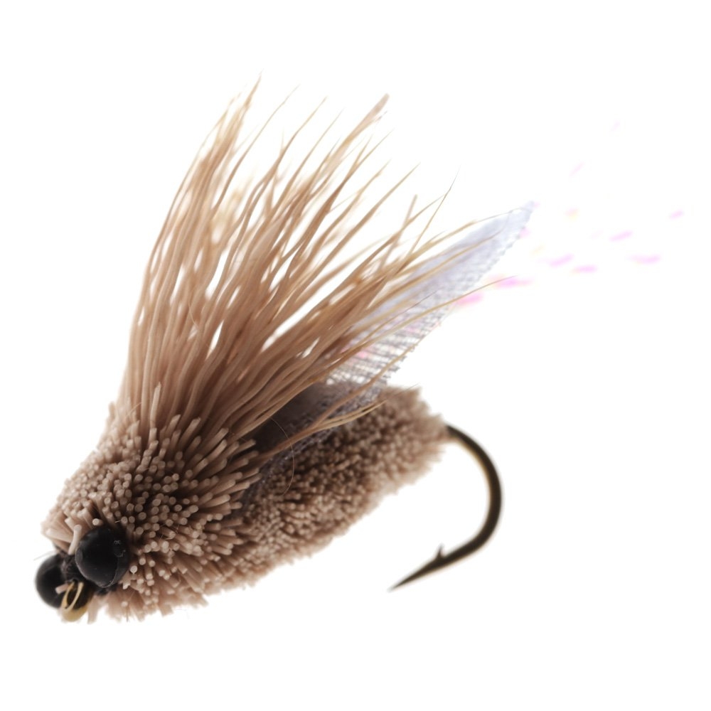 Feather Merchants Cicada Dry Fly Tussock #10