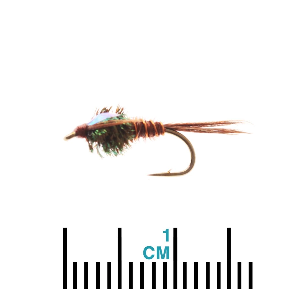 Feather Merchants Flashback Pheasant Tail #14 Feather Merchants Flashback Pheasant Tail #14
