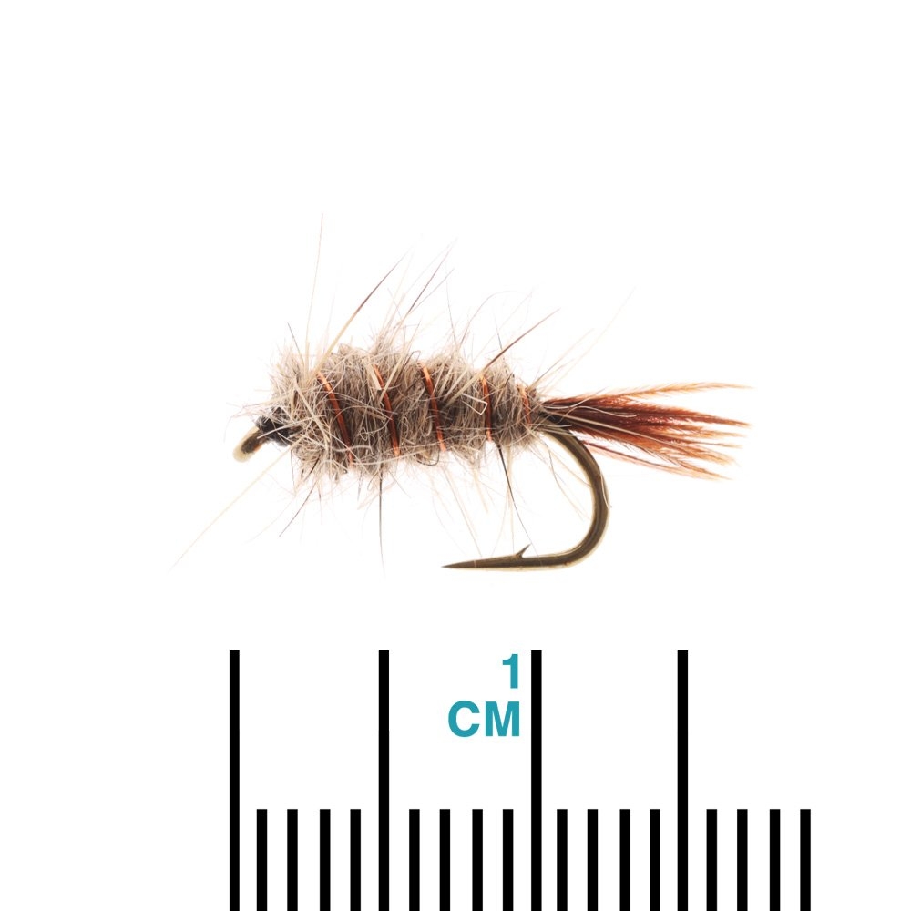 Feather Merchants Hare and Copper Weighted Trout Fly #12