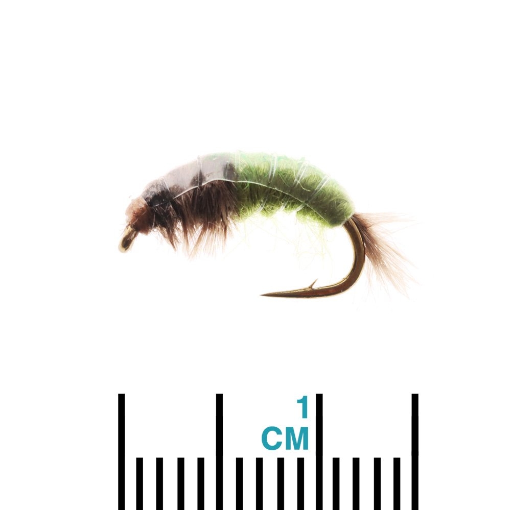 Feather Merchants Net Builder Caddis Nymph Olive #12