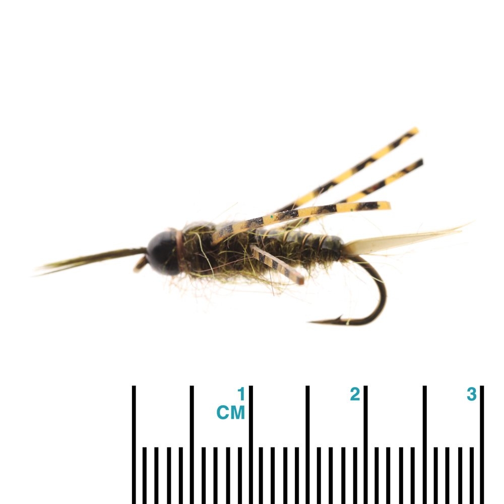 Feather Merchants Skwala Stonefly Nymph TB Olive #8