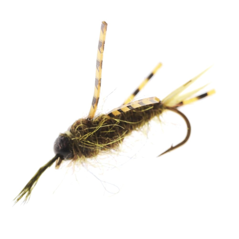 Feather Merchants Skwala Stonefly Nymph TB Olive #10