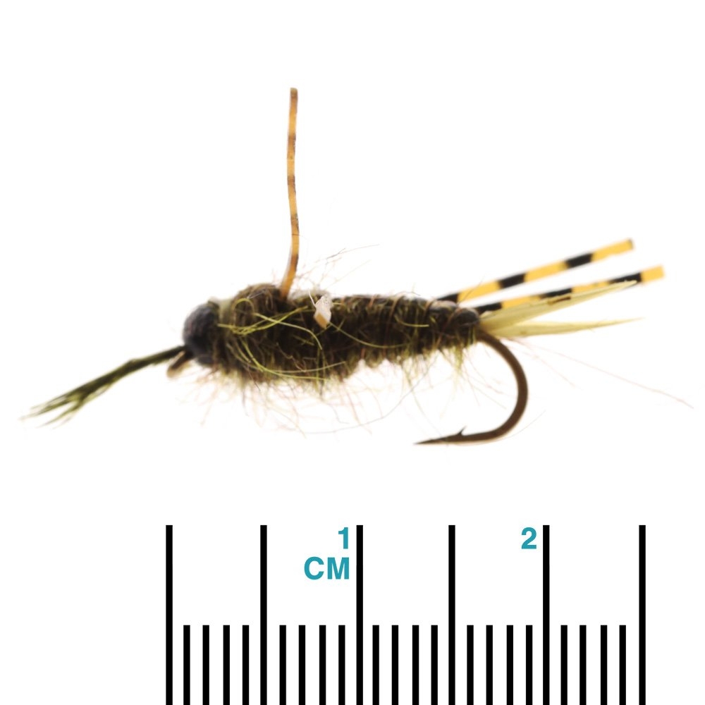 Feather Merchants Skwala Stonefly Nymph TB Olive #10