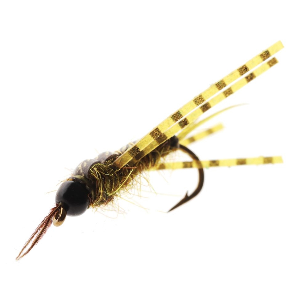 Feather Merchants Skwala Stonefly Nymph TB Olive #12