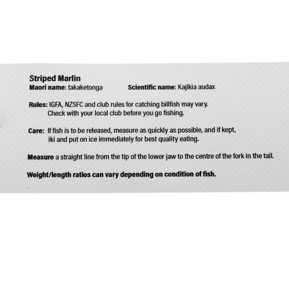 Gary Longley Fish Art Fish Measuring Scale Ruler