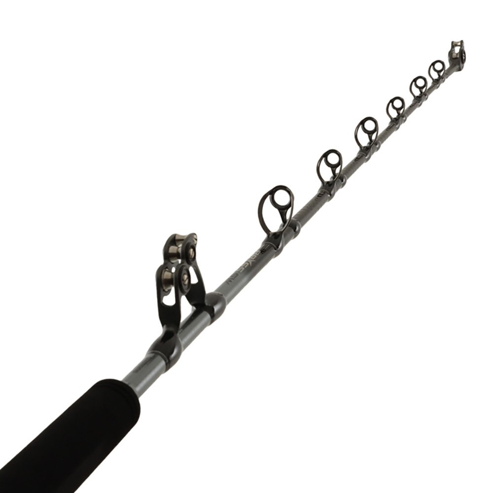 Shimano 25 Talica 40IIA 2-Speed 25 Abyss SW Dual Butt Game Combo 5ft 6in 80lb 2pc