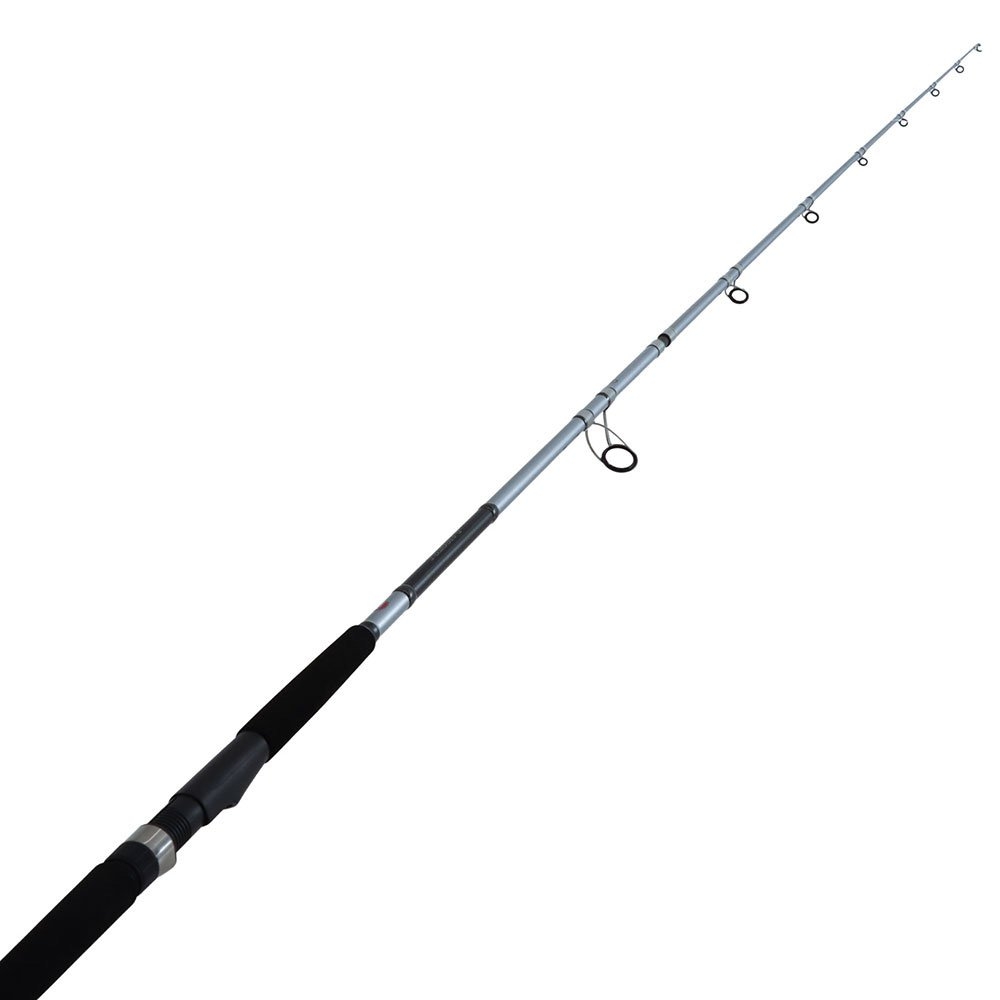 PENN Pursuit V 6000 Spinning Rock Combo 10ft 8-12kg 2pc