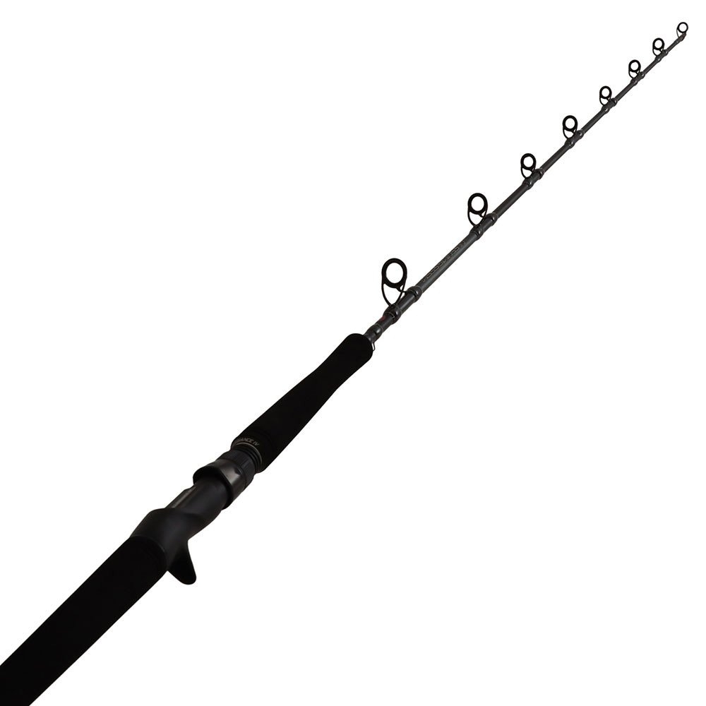 PENN Fathom II 25N Allegiance IV 501MH Inshore Oh Jigging Combo 5ft 250g 1pc