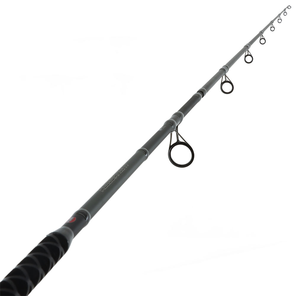 PENN Allegiance IV 1002SPMH Spinning Surf Rod 10ft 10-15kg 2pc