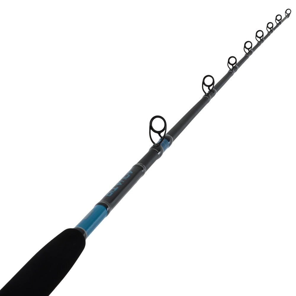 Shimano 25 Aquatip Overhead Rod 6ft 15kg 1pc