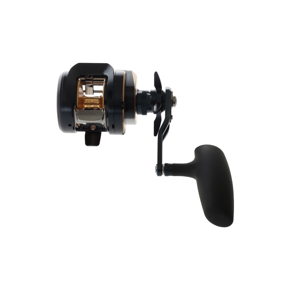 Daiwa 25 Saltiga 300H Overhead Reel