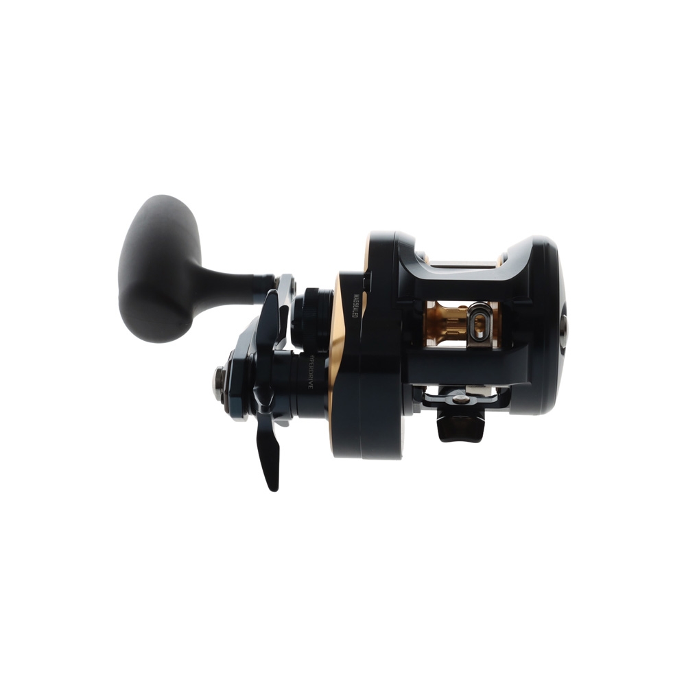Daiwa 25 Saltiga 300H Overhead Reel