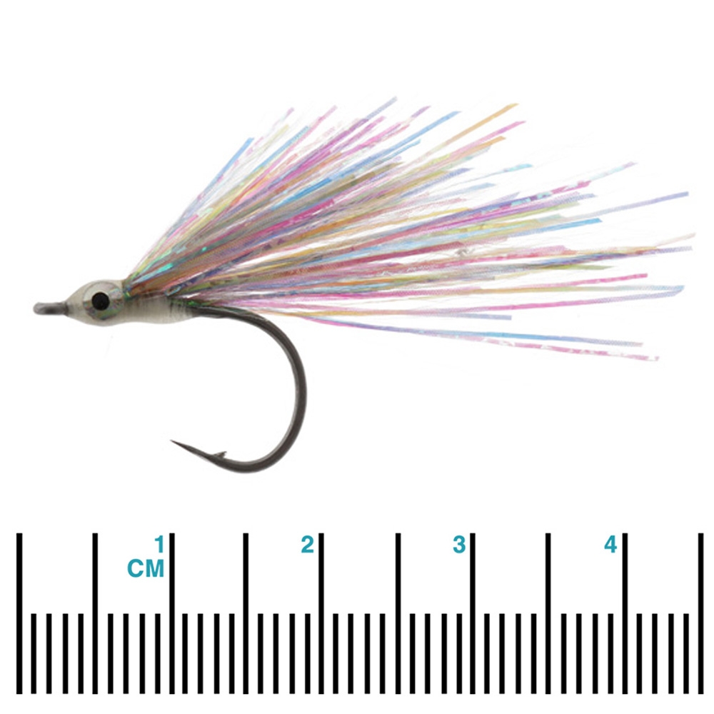 Pat Swift Saltwater Rainbow Pearl Fly #6