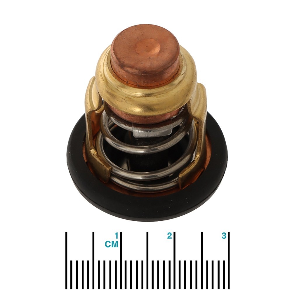 Recmar Outboard Thermostat