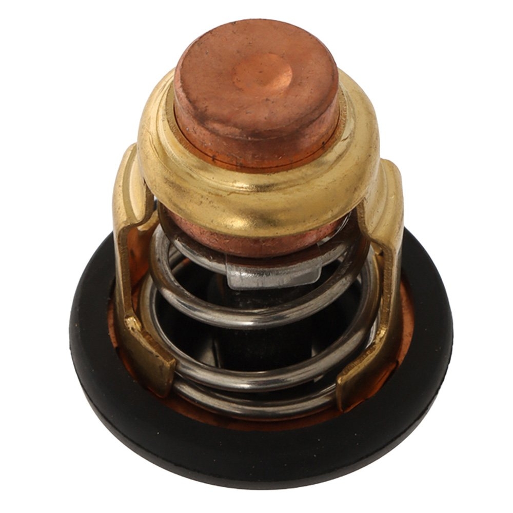 Recmar Outboard Thermostat