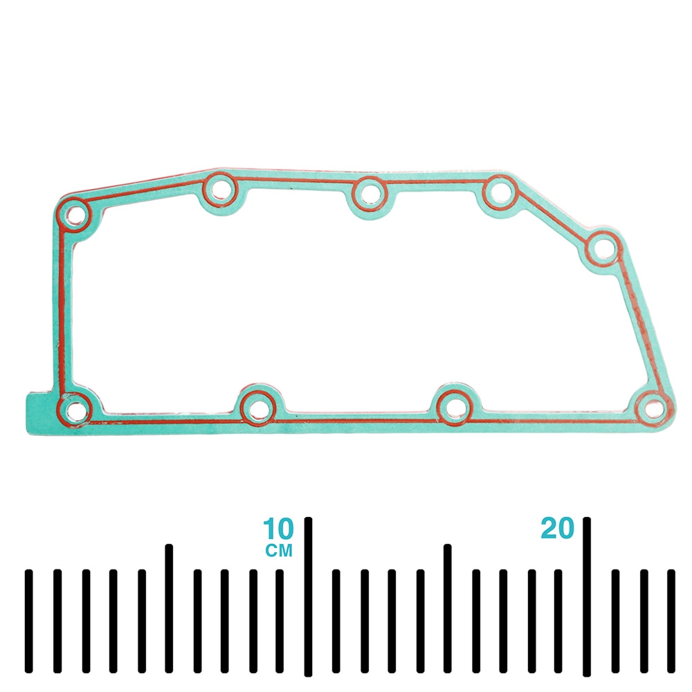 SUNCHEV Outboard Side Plate/Drain Gasket 6EK-15353-00-00 for Yamaha F115B-130HP