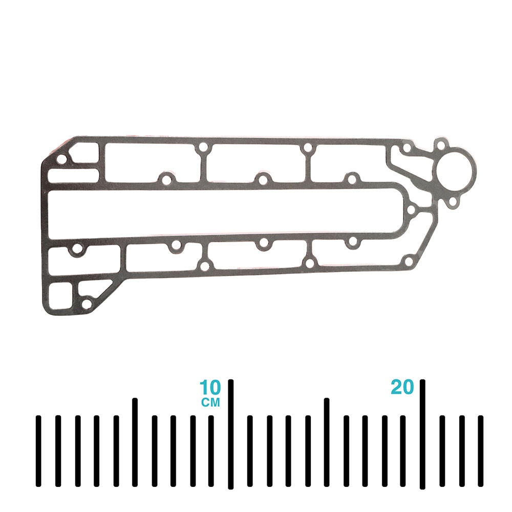 SUNCHEV Outboard Inner Side Plate Gasket 6H3-41112-A0 for Yamaha 60-70HP