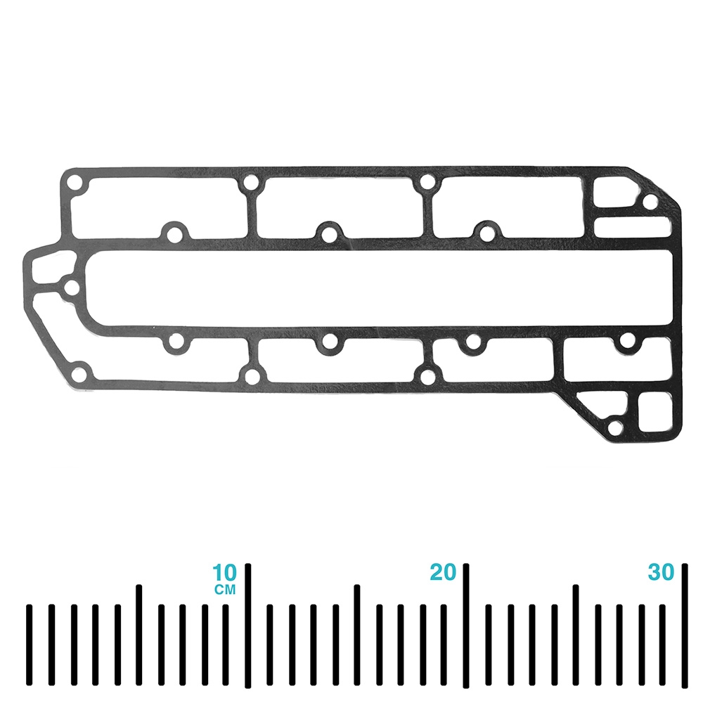 SUNCHEV Outboard Outer Side Plate Gasket 6H3-41114-A0 for Yamaha 60-70HP