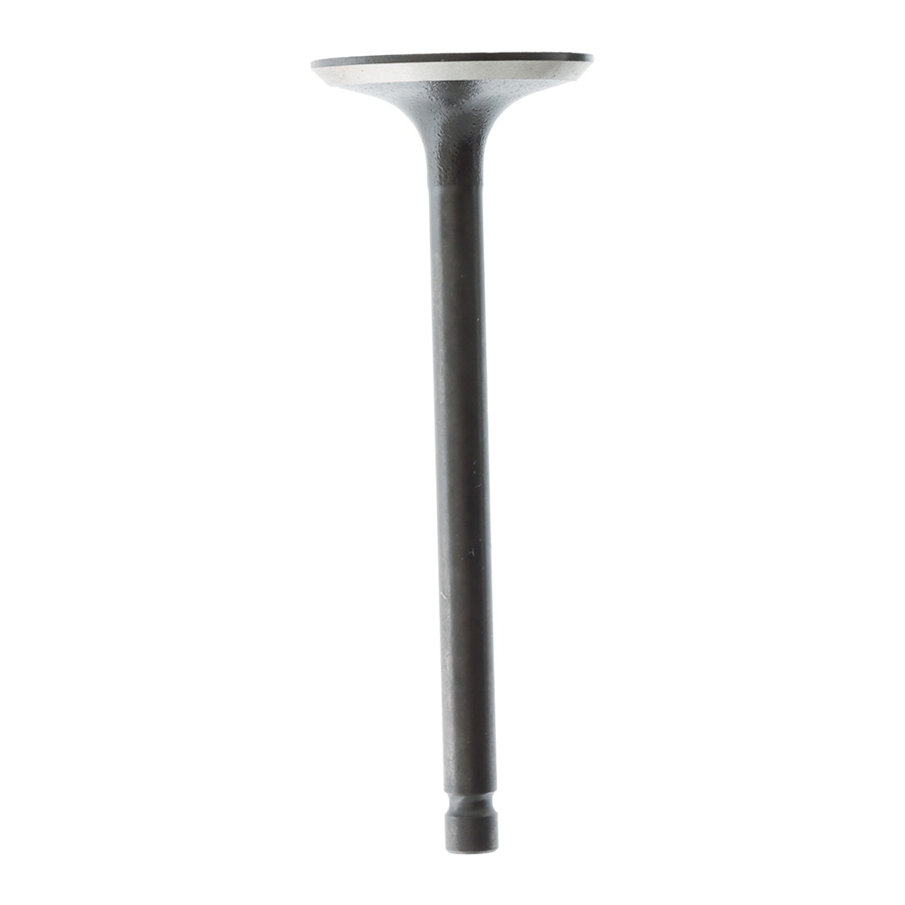 SUNCHEV Outboard Intake Valve 66M-12111-00 for Yamaha 9.9-15HP