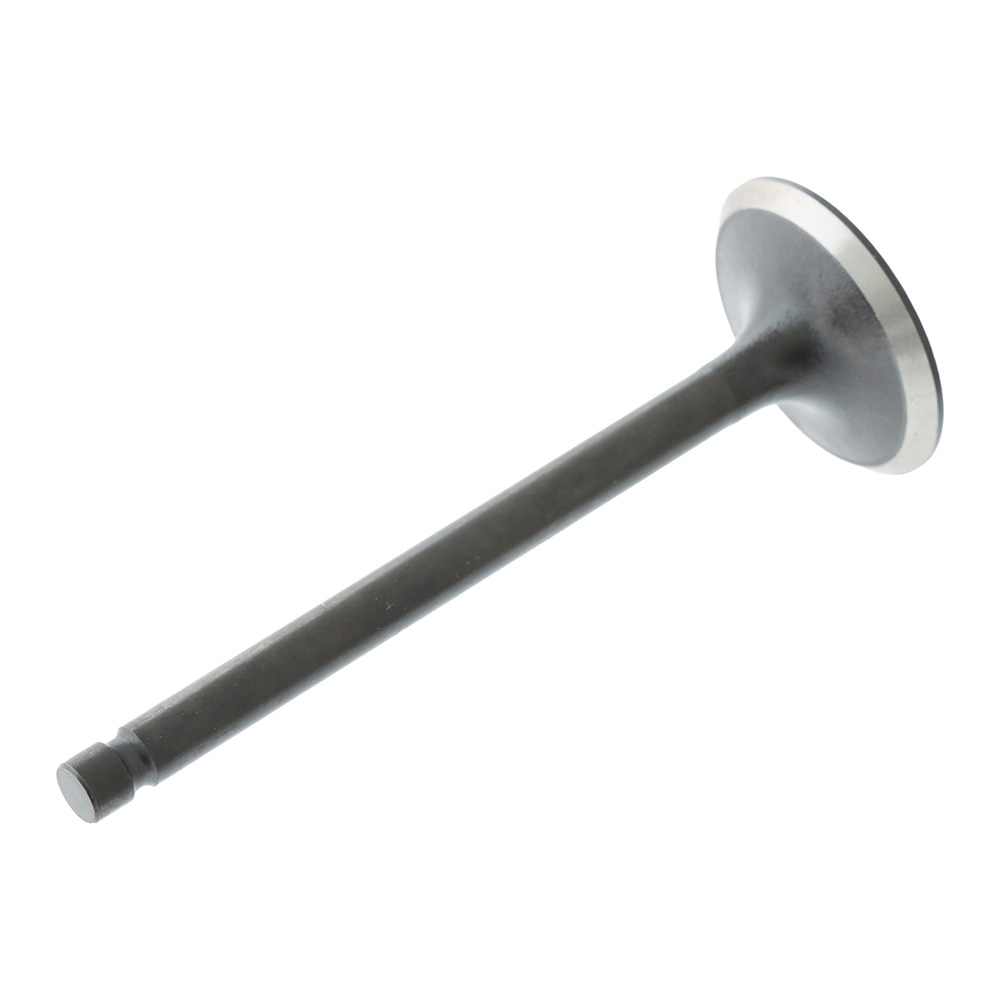 SUNCHEV Outboard Intake Valve 66M-12111-00 for Yamaha 9.9-15HP