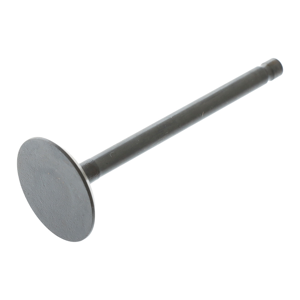 SUNCHEV Outboard Intake Valve 66M-12111-00 for Yamaha 9.9-15HP