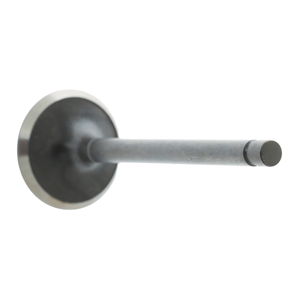 SUNCHEV Outboard Intake Valve 66M-12111-00 for Yamaha 9.9-15HP